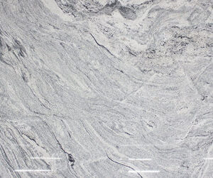 Viscon White Granite